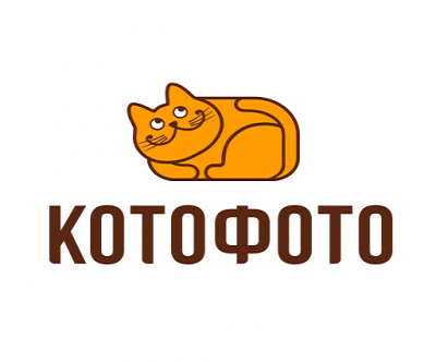 KotoFoto: вход в личный кабинет